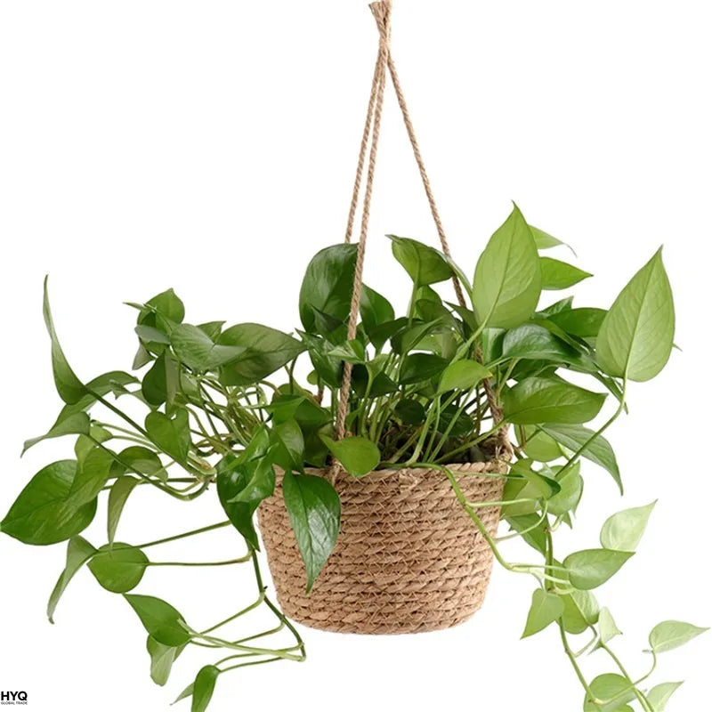 Macramé Jute Hanging Plant Basket